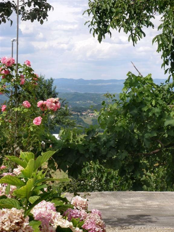 Apartman Vojskovic Gračišće Екстериор снимка